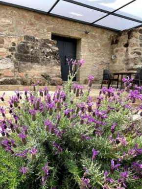 La Bodega, Andujar